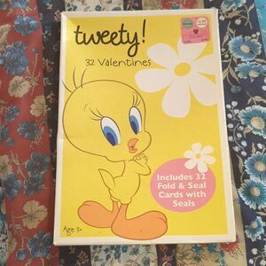 Tweety Bird Warner Brothers vintage Valentine's Day‎ card box set NIP Y2K